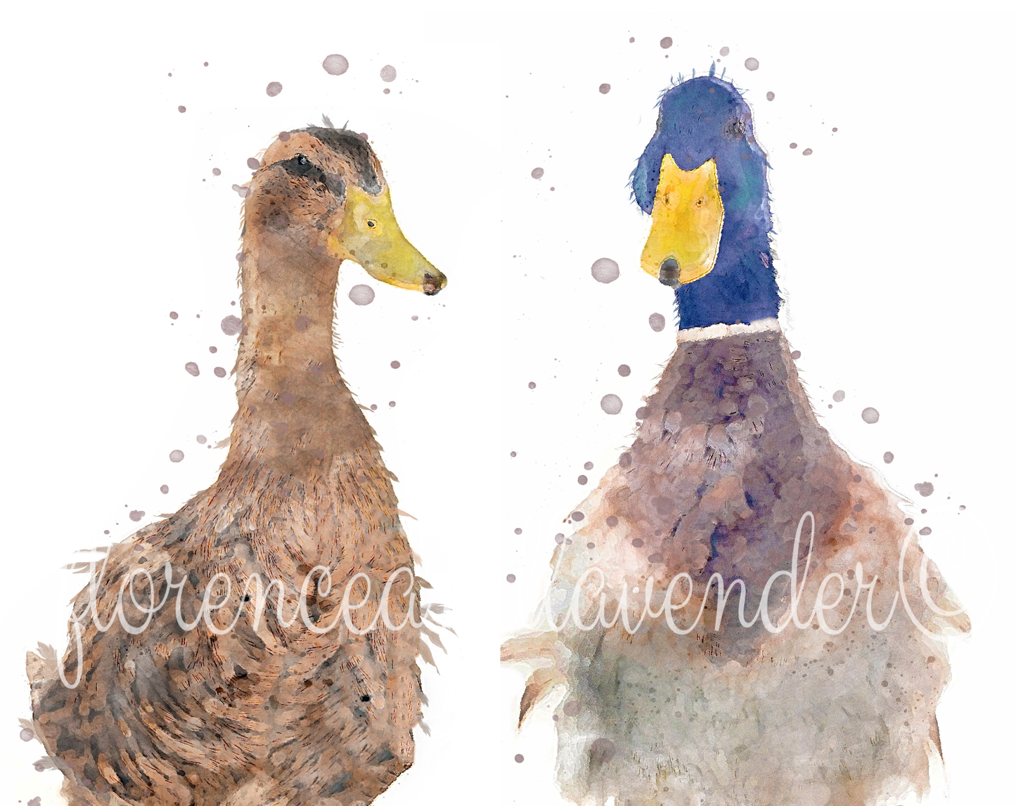 Personalised Duck Print - Florence & Lavender
