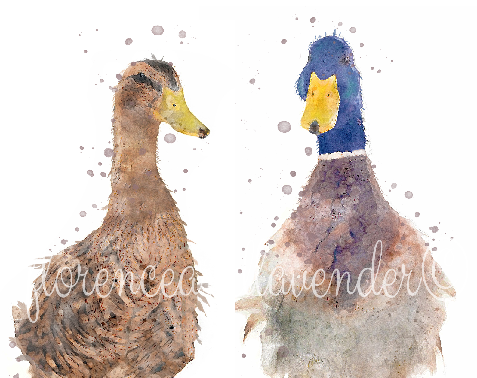 Personalised Duck Print - Florence & Lavender