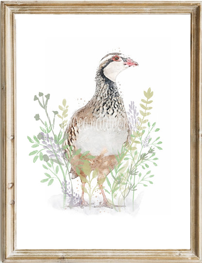 Trio of game bird prints - Florence & Lavender