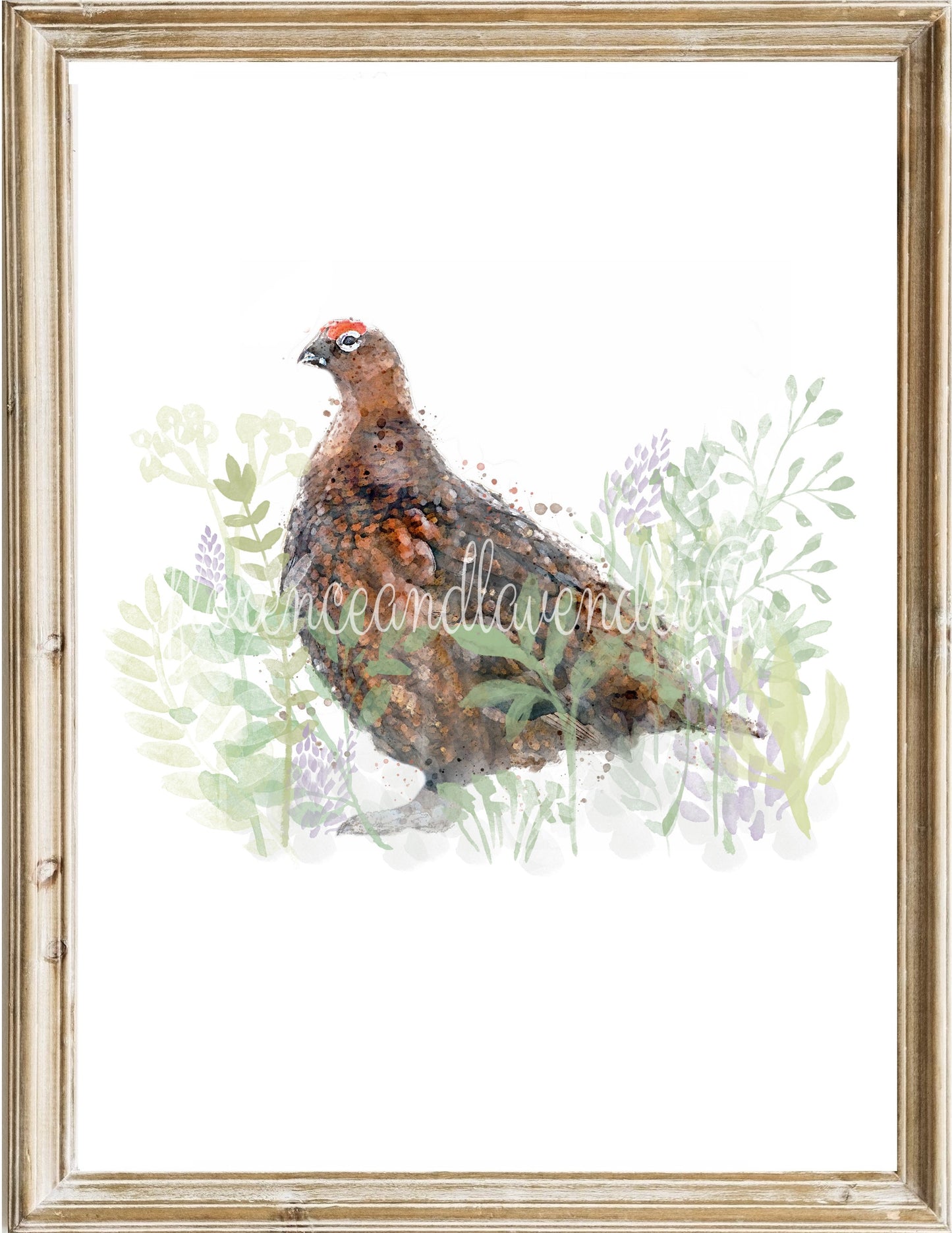 Trio of game bird prints - Florence & Lavender