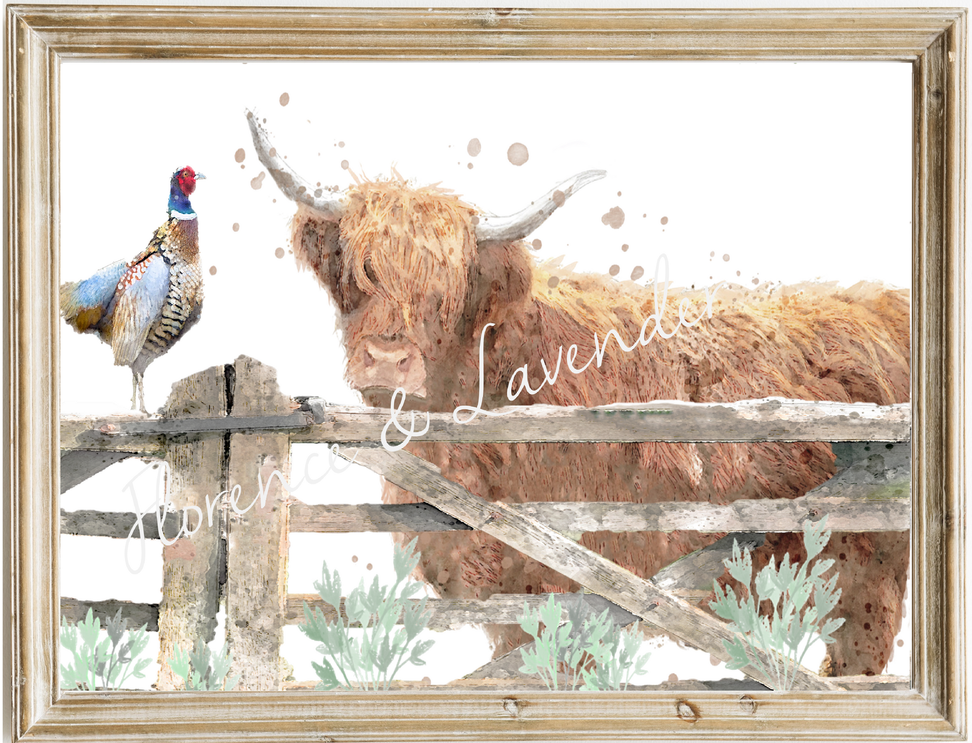 Highland Cow & Pheasant Print - Florence & Lavender
