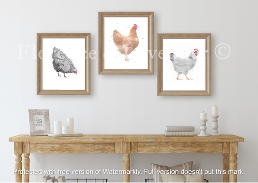 The Chicken Collection! - Florence & Lavender