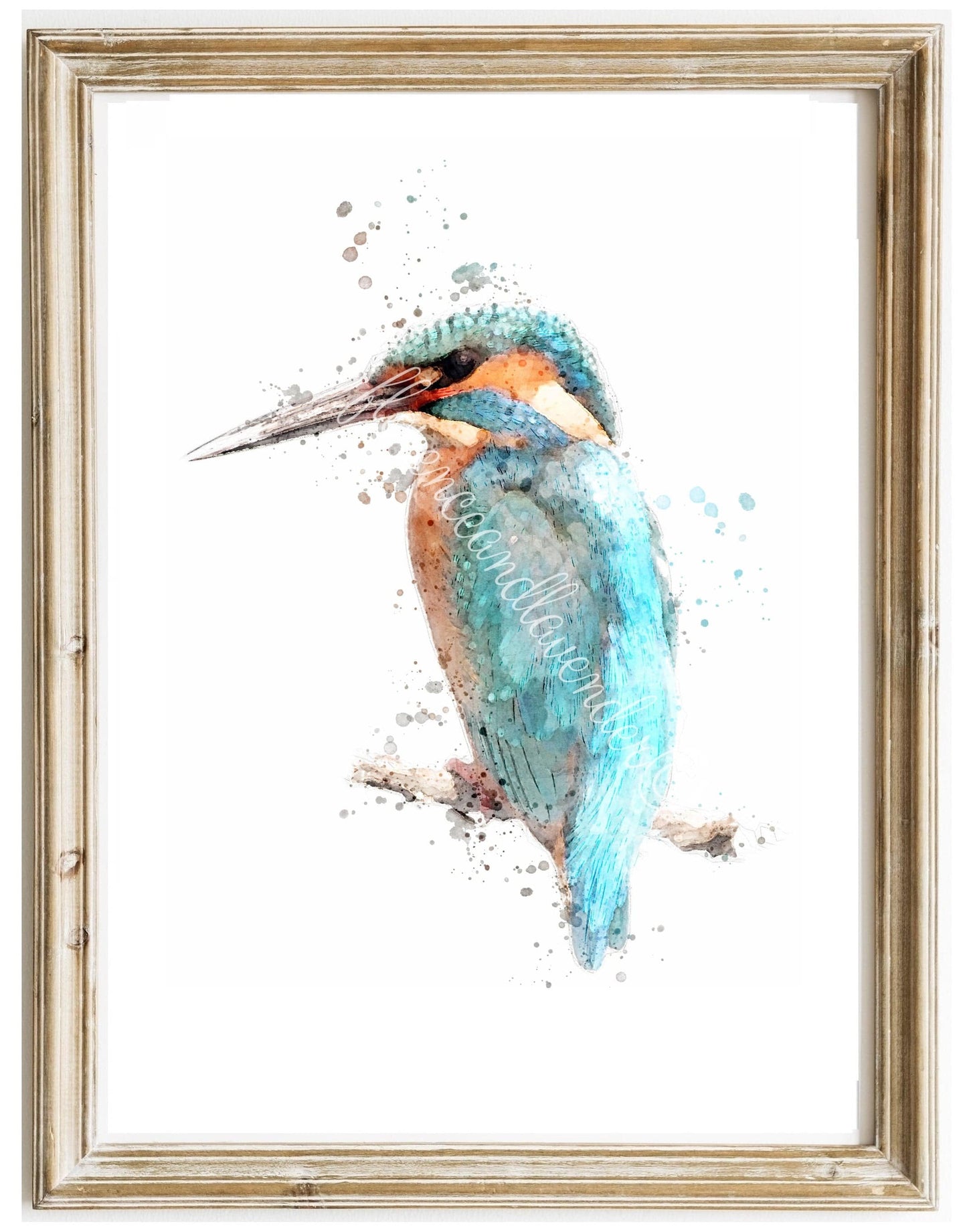 Kingfisher Print - Florence & Lavender