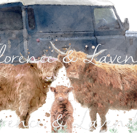 Landy & Highland Cow Print - Florence & Lavender