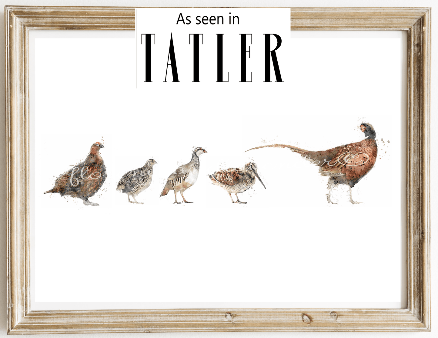 Multi game bird print - Florence & Lavender