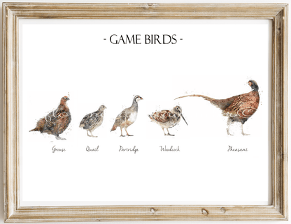 Multi game bird print - Florence & Lavender