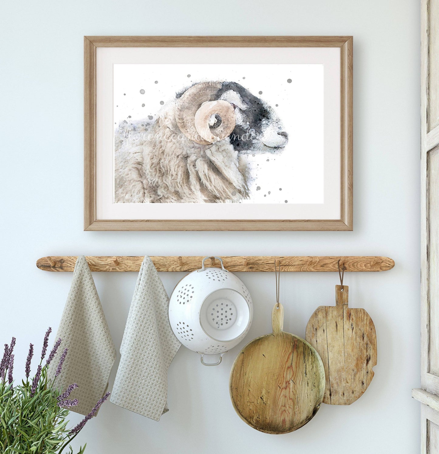 'Murphy' - Swaledale Sheep - Ram - Florence & Lavender