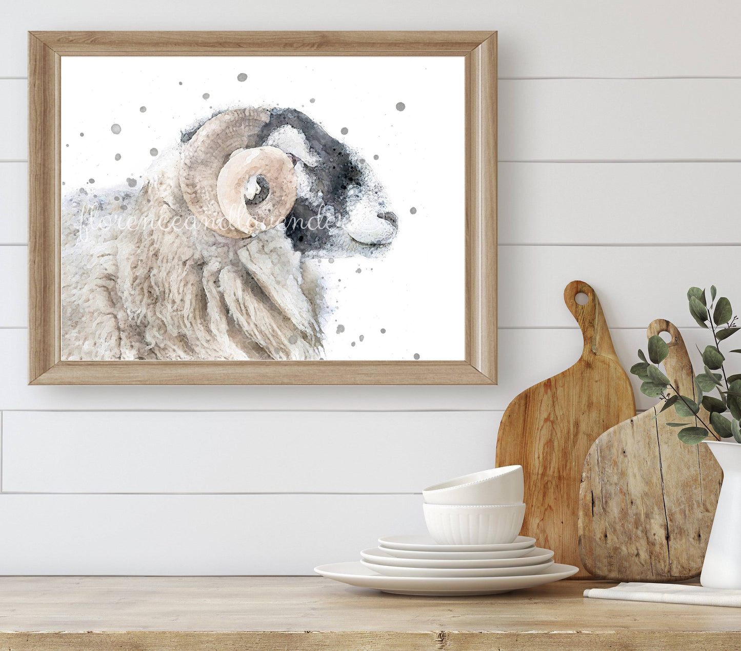 'Murphy' - Swaledale Sheep - Ram - Florence & Lavender