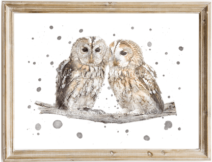 Owl Love - Tawny Owls - Florence & Lavender