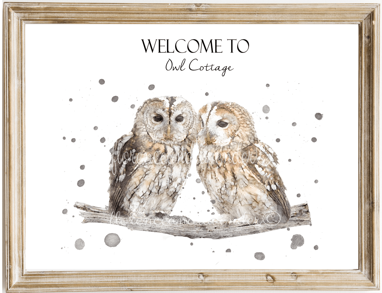 Owl Love - Tawny Owls - Florence & Lavender