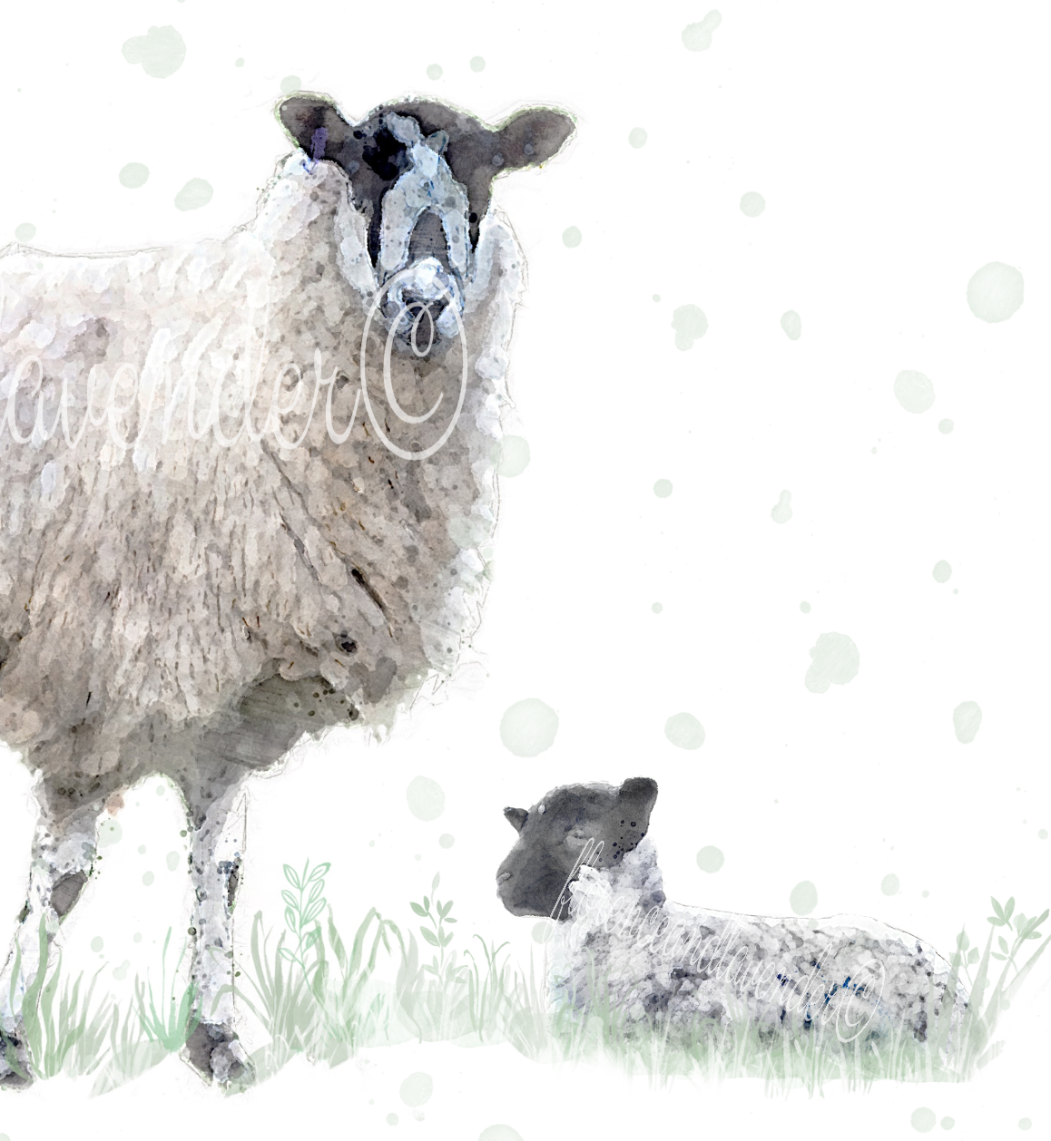 Personalised Sheep Print - Florence & Lavender