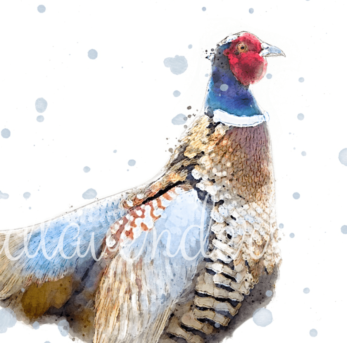 ''Phillip'' - Pheasant Print - Florence & Lavender