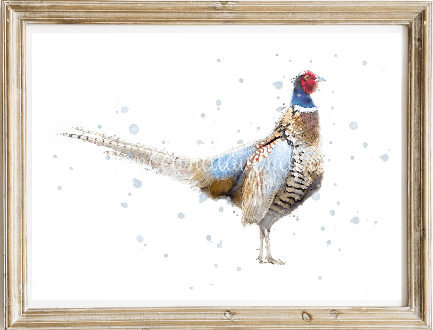 ''Phillip'' - Pheasant Print - Florence & Lavender