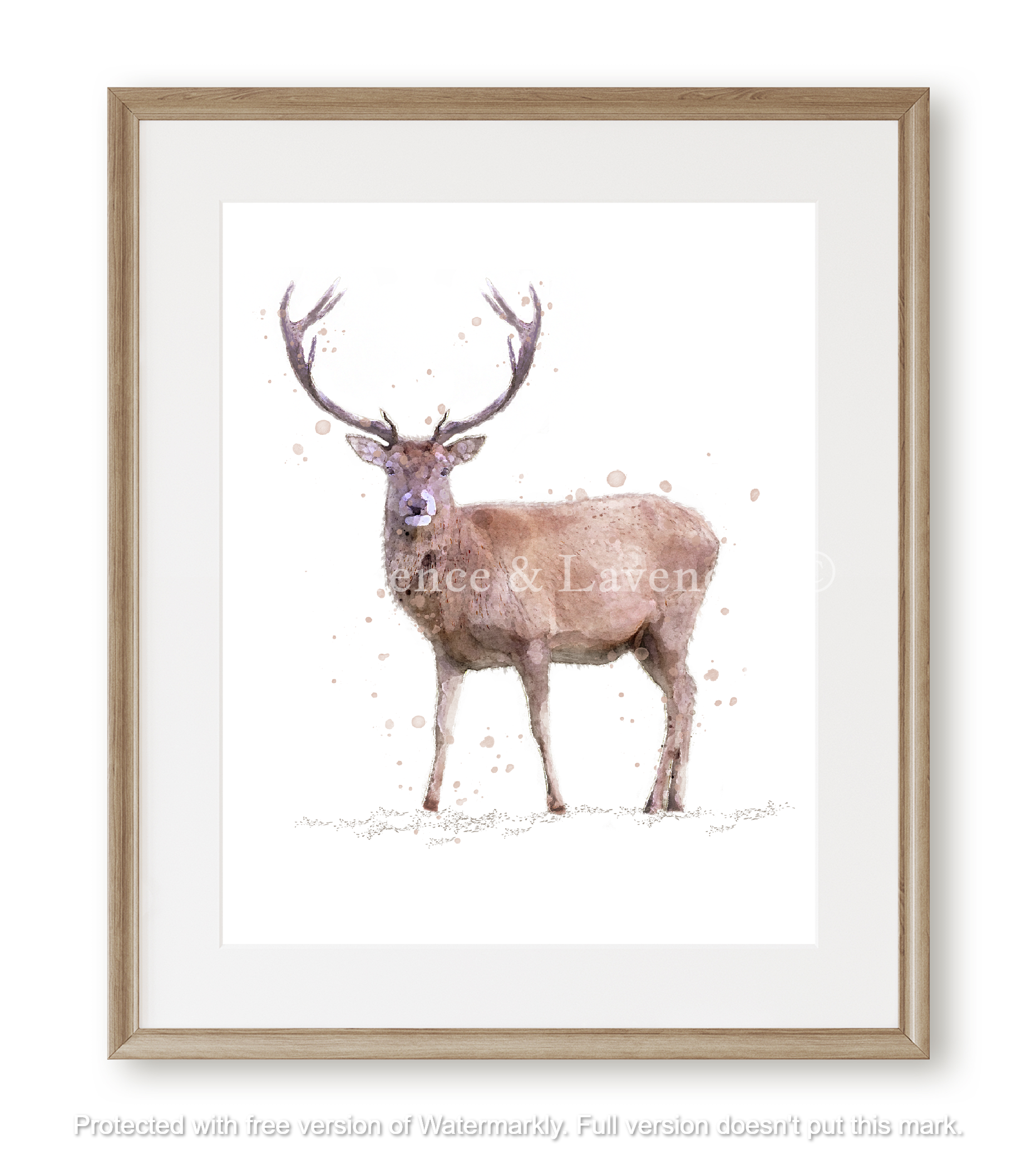 ''Rupert'' - Watercolour Stag Print - Florence & Lavender