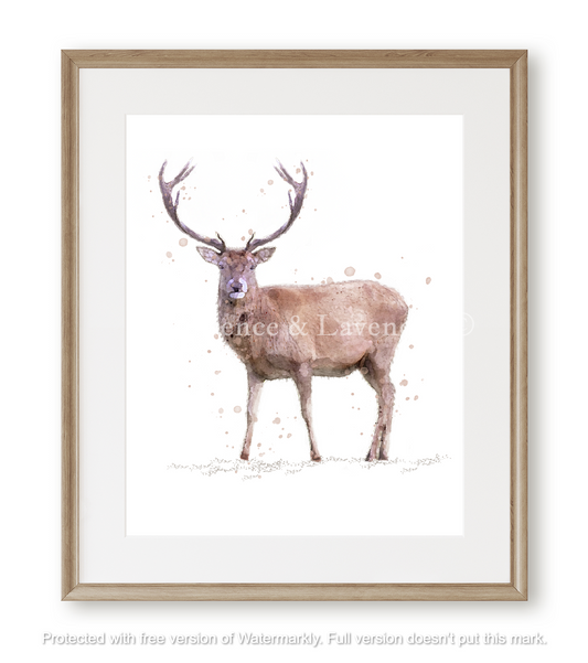 ''Rupert'' - Watercolour Stag Print - Florence & Lavender