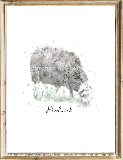 Heritage Sheep Collection - Florence & Lavender