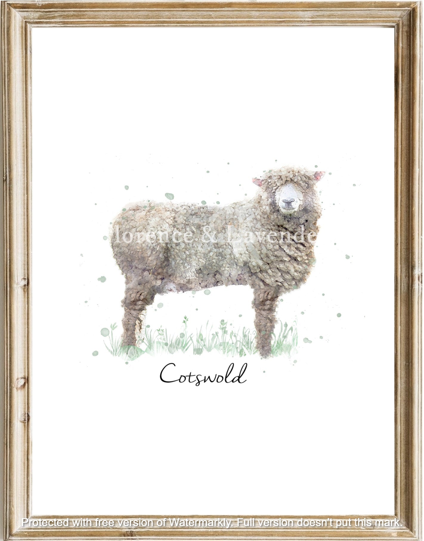 Heritage Sheep Collection - Florence & Lavender