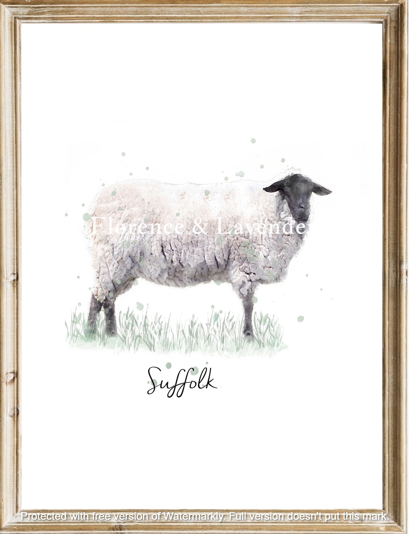 Heritage Sheep Collection - Florence & Lavender