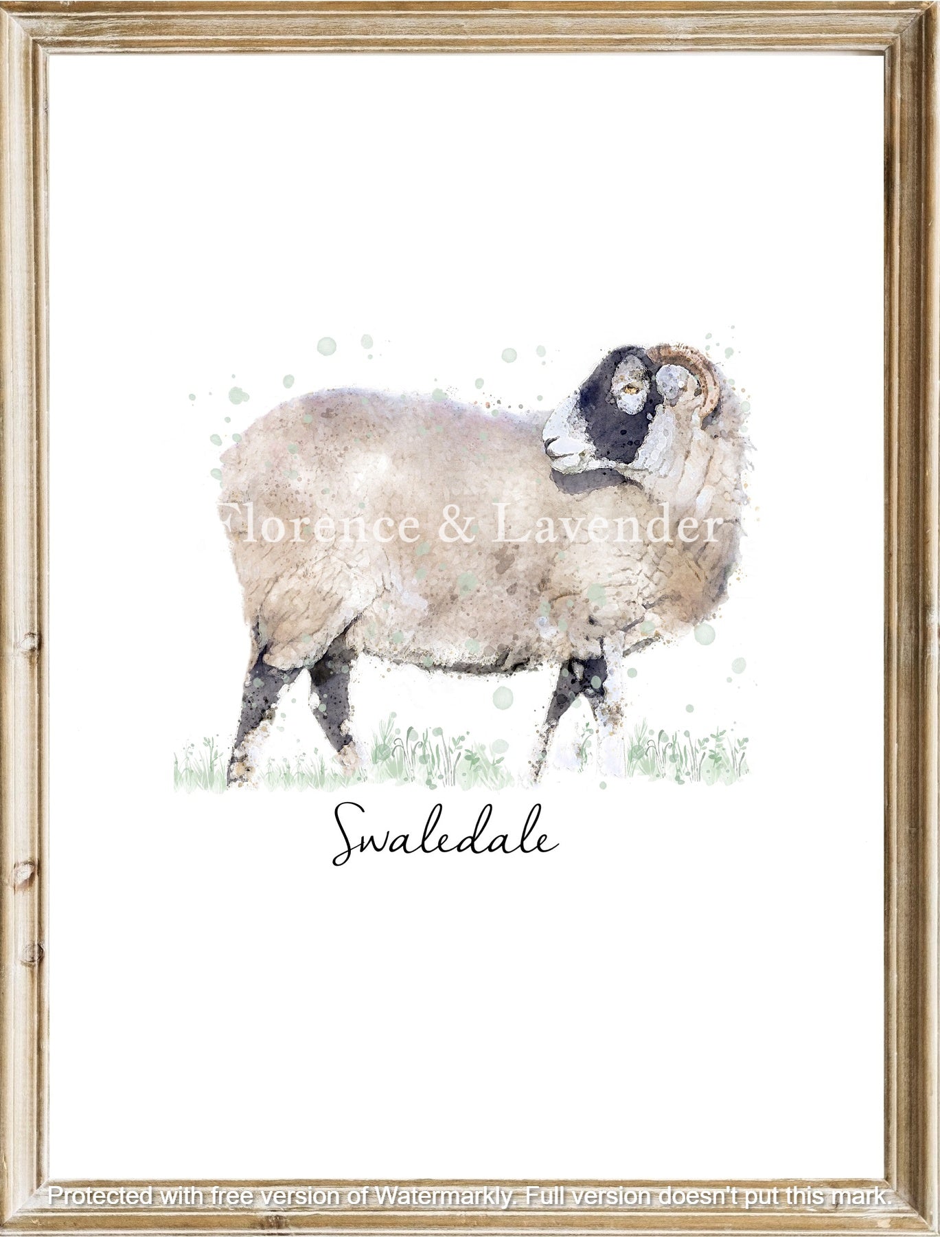 Heritage Sheep Collection - Florence & Lavender