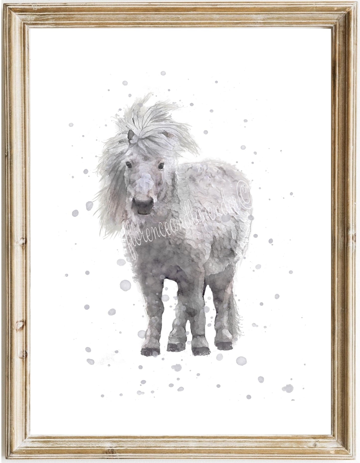 Shetland Pony Collection - Florence & Lavender