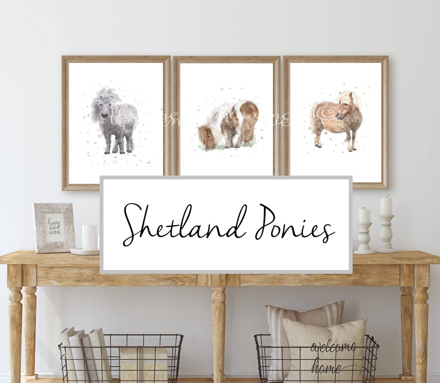 Shetland Pony Collection - Florence & Lavender