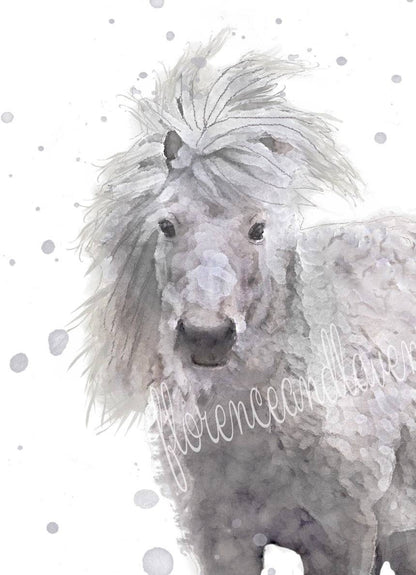 Shetland Pony Collection - Florence & Lavender