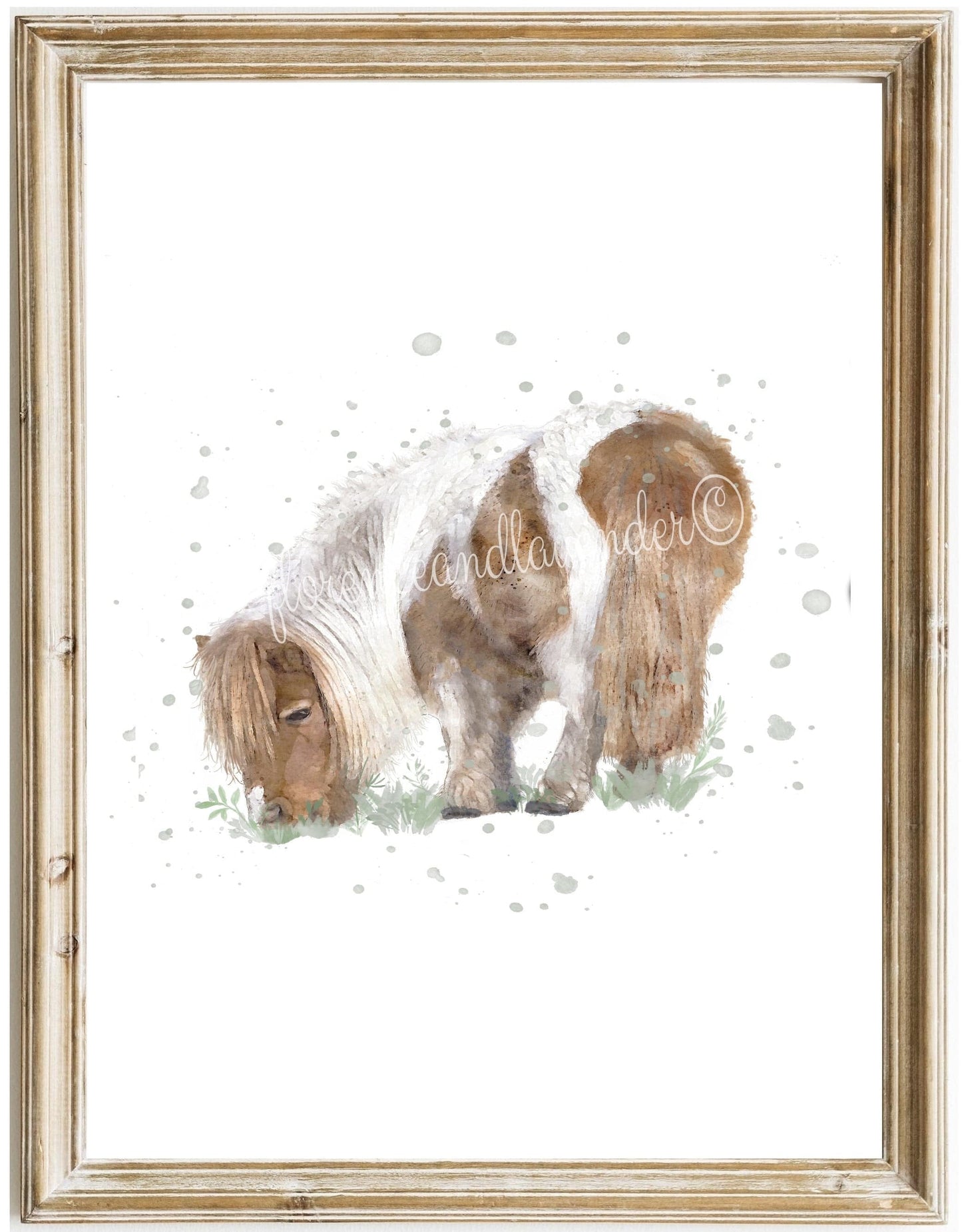 Shetland Pony Collection - Florence & Lavender