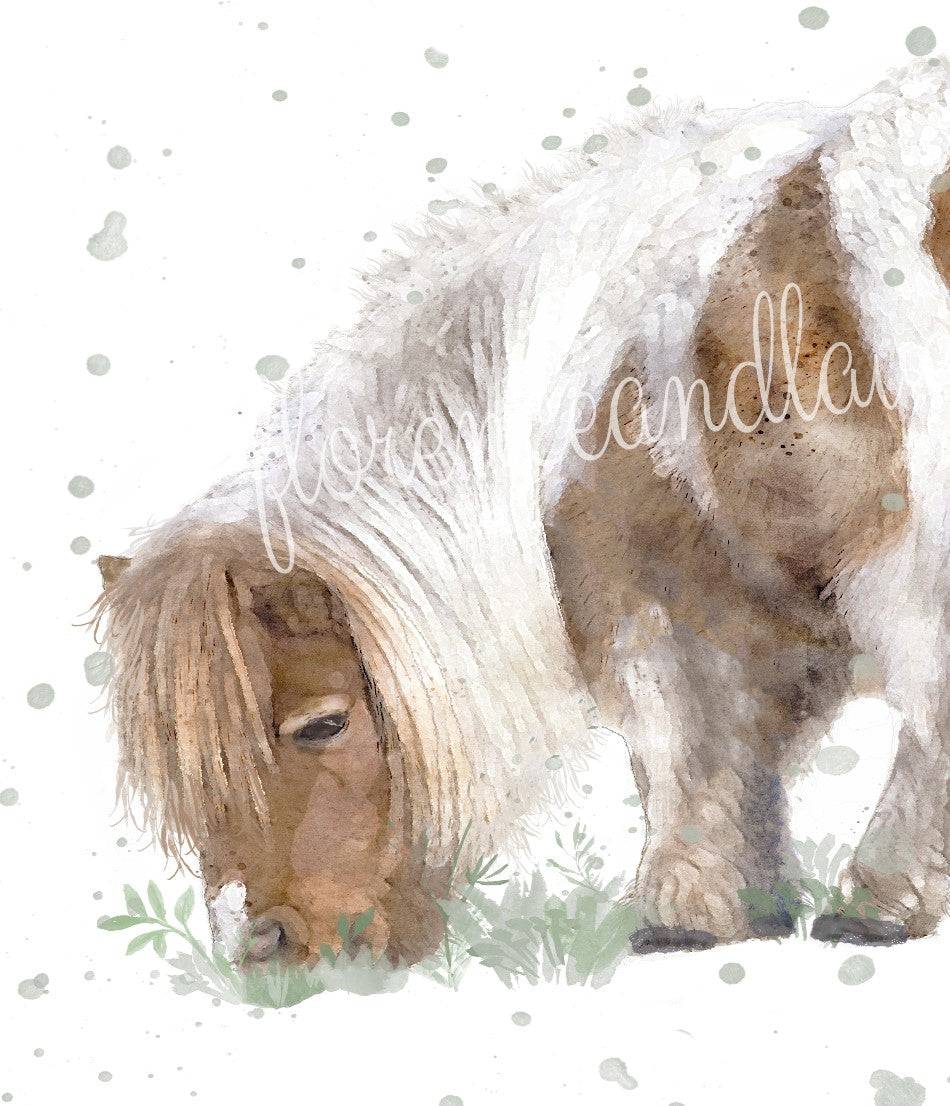 Shetland Pony Collection - Florence & Lavender