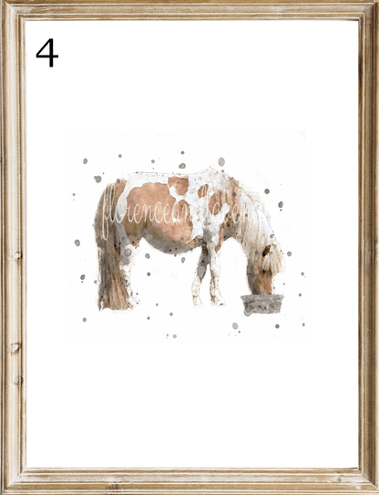 The Pony Collection - Florence & Lavender