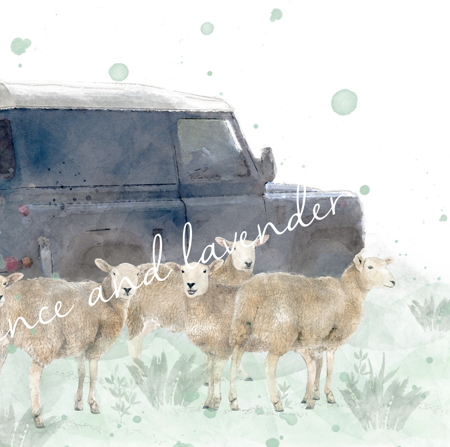 ''The Flock'' - Watercolour Sheep & Landy Print - Florence & Lavender