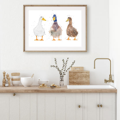Trio Of Ducks - ''The Quackers'' - Florence & Lavender