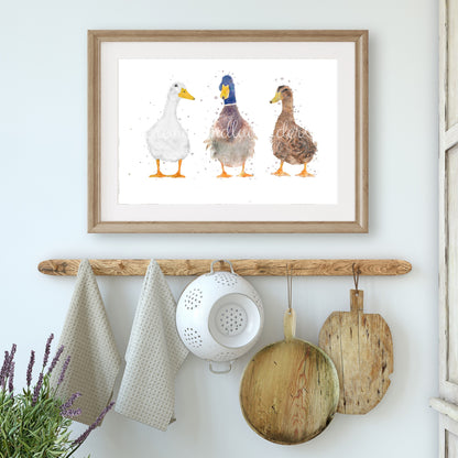 Trio Of Ducks - ''The Quackers'' - Florence & Lavender