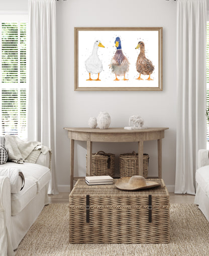 Trio Of Ducks - ''The Quackers'' - Florence & Lavender