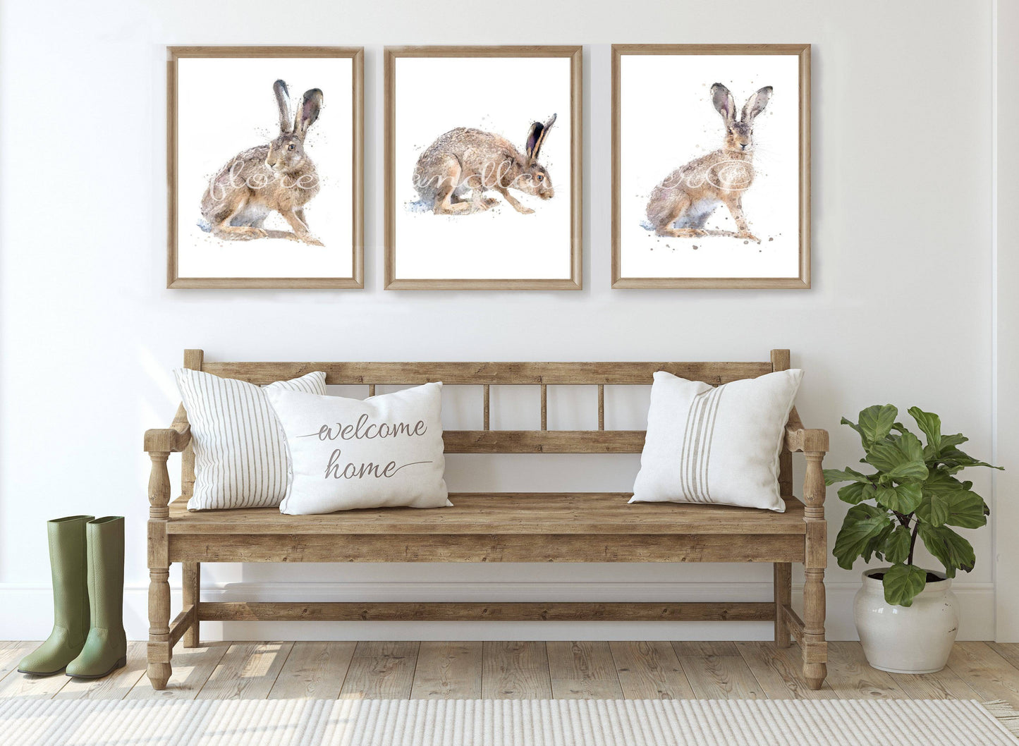 Trio Of Fine Art Hare Prints - Florence & Lavender