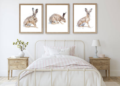 Trio Of Fine Art Hare Prints - Florence & Lavender