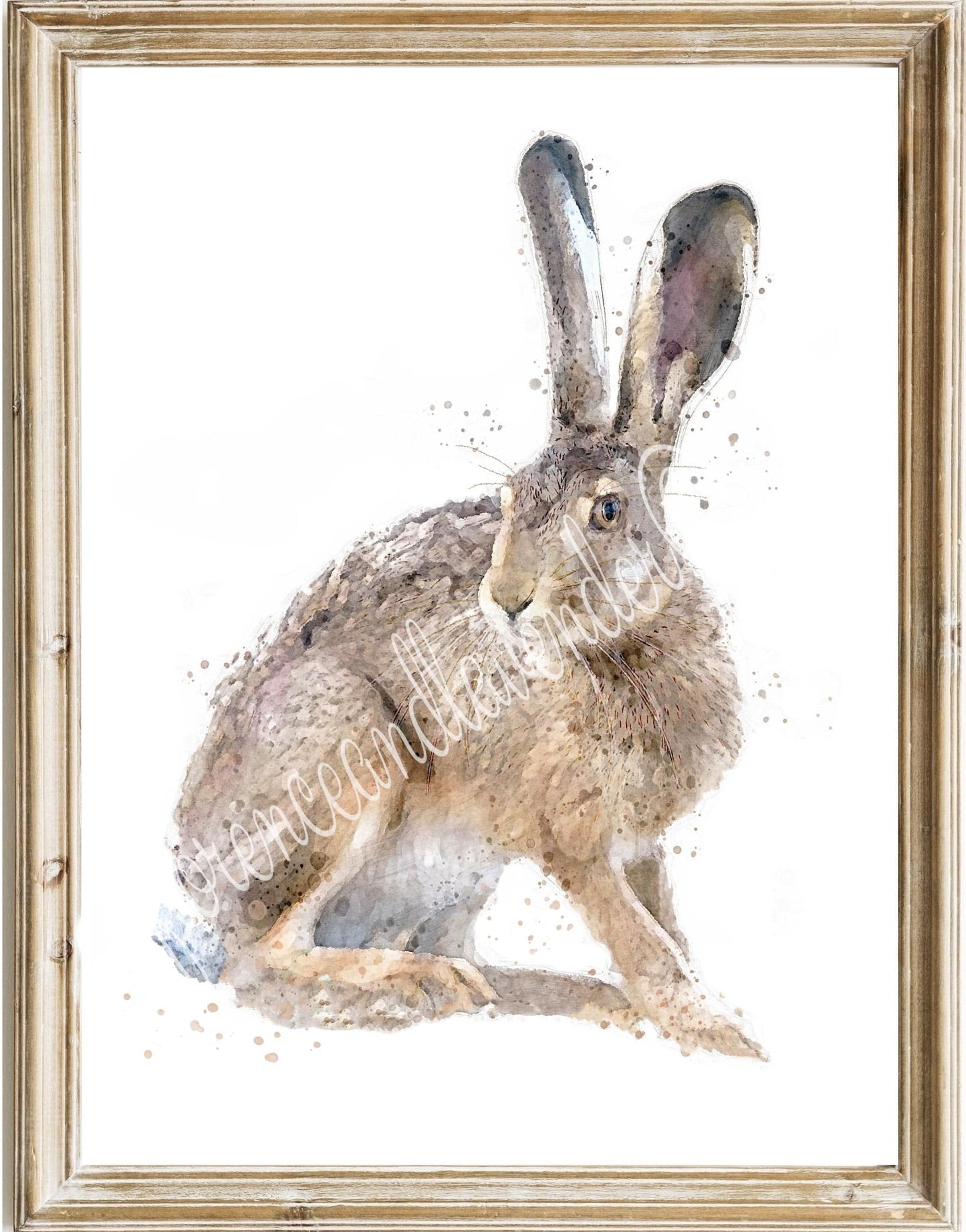 Trio Of Fine Art Hare Prints - Florence & Lavender