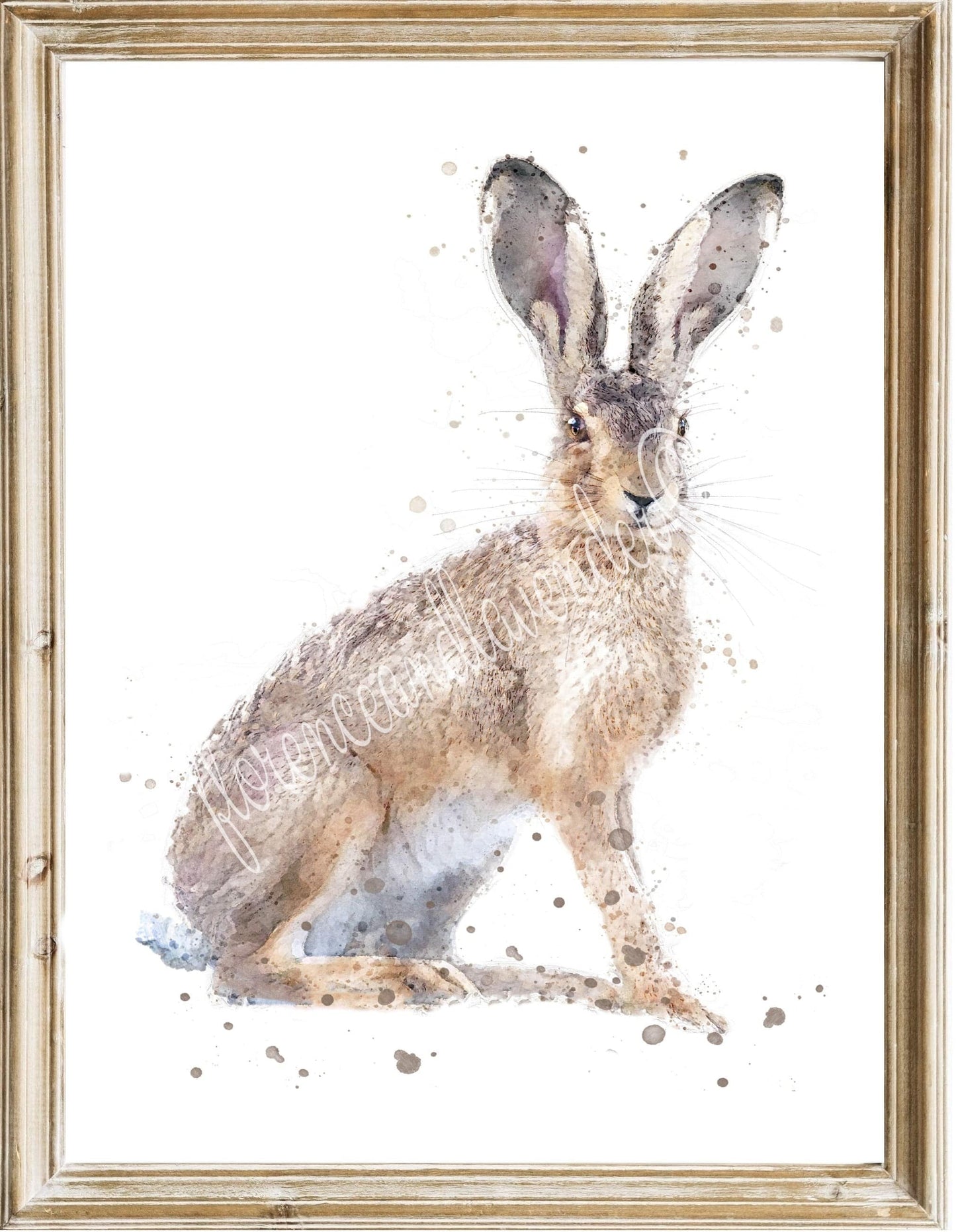 Trio Of Fine Art Hare Prints - Florence & Lavender