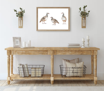 Trio of Partridges - Florence & Lavender