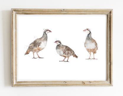 Trio of Partridges - Florence & Lavender