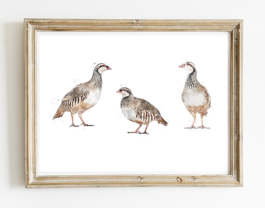 Trio of Partridges - Florence & Lavender